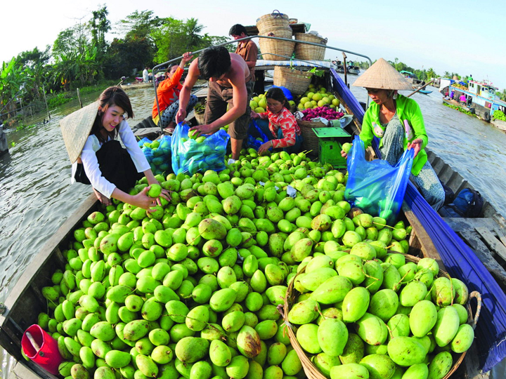 Mekong Full day tour (Cai Be)